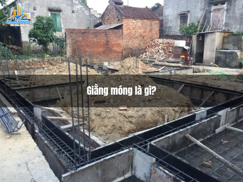 giang mong la gi
